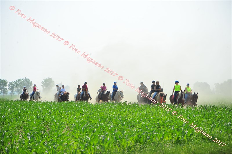 DSC_0851.JPG